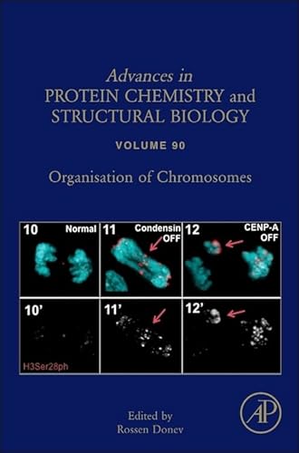 Stock image for Organisation of Chromosomes (Advances in Protein Chemistry & Structural Biology): Volume 90 (Advances in Protein Chemistry and Structural Biology) for sale by Chiron Media