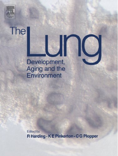 9780124111707: The Lung: Development, Aging and the Environment