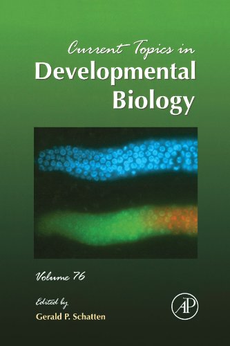 9780124112629: Current Topics in Developmental Biology, Volume 76: Volume 76