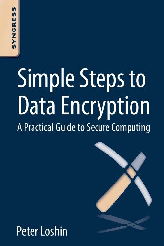 Imagen de archivo de Simple Steps to Data Encryption: A Practical Guide to Secure Computing a la venta por More Than Words