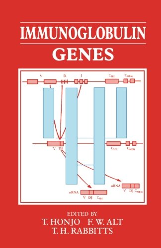 Imagen de archivo de Immunoglobulin Genes a la venta por Revaluation Books
