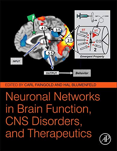 Imagen de archivo de Neuronal Networks in Brain Function, CNS Disorders, and Therapeutics a la venta por Chiron Media