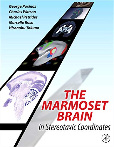 9780124158184: The Marmoset Brain in Stereotaxic Coordinates