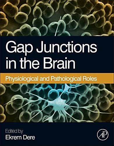 Stock image for Gap Junctions in the Brain: Physiological and Pathological Roles for sale by Chiron Media