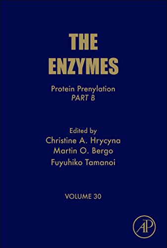 Stock image for Protein Prenylation, Part B: Volume 30 (The Enzymes) for sale by Devils in the Detail Ltd
