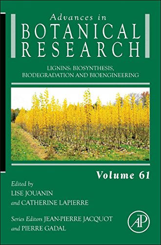 Stock image for Advances in Botanical Research, Vol. 61: Lignins: Biosynthesis, Biodegradation and Bioengineering (Volume 61) for sale by Anybook.com