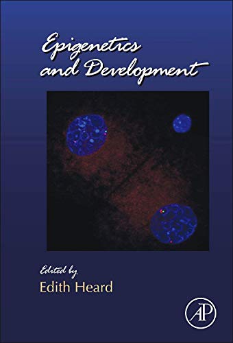 Stock image for Epigenetics and Development (Current Topics in Developmental Biology): Volume 104 for sale by Chiron Media