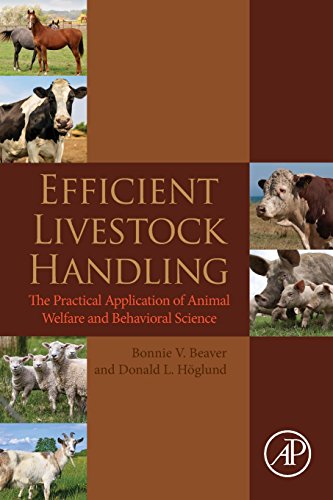 9780124186705: Efficient Livestock Handling: The Practical Application of Animal Welfare and Behavioral Science