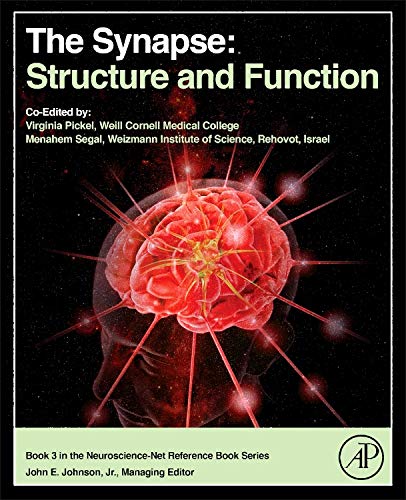 9780124186828: The Synapse: Structure and Function