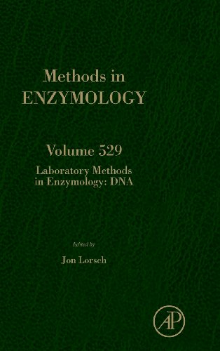 9780124186873: Laboratory Methods in Enzymology: DNA: Volume 529 (Methods in Enzymology, Volume 529)