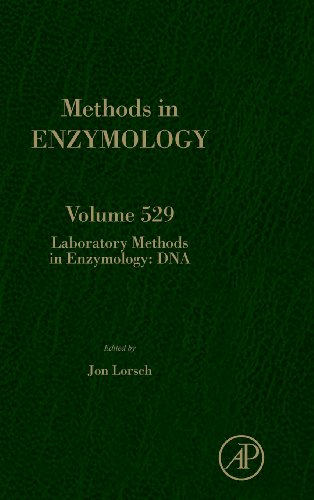 Stock image for Methods in Enzymology: Laboratory Methods in Enzymology: DNA (Volume 529) for sale by Anybook.com