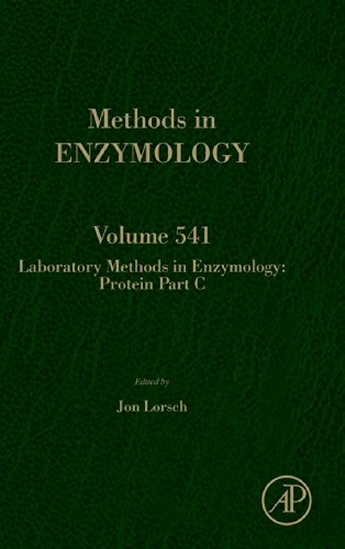 Stock image for Laboratory Methods in Enzymology: Protein Part C (Volume 541) for sale by Anybook.com