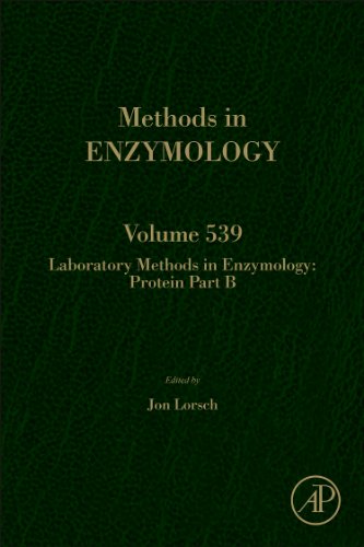 Stock image for Methods in Enzymology: Laboratory Methods in Enzymology: Protein Part B (Volume 539) for sale by Anybook.com