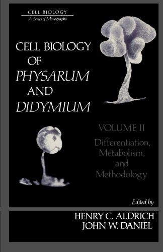 Stock image for Cell Biology of Physarum and Didymium, Volum II: Differentiation, Metabolism, and Methodology for sale by Revaluation Books
