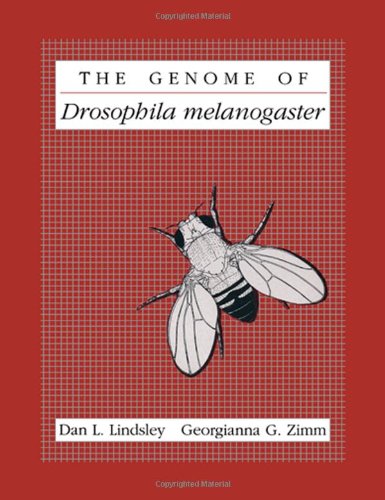 9780124509900: The Genome of Dropsophila Melanogaster