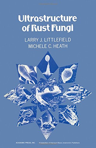 Beispielbild fr Ultrastructure of Rust Fungi zum Verkauf von Chequamegon Books
