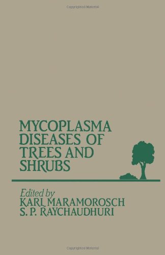 Beispielbild fr Mycoplasma Diseases of Trees and Shrubs zum Verkauf von Alplaus Books