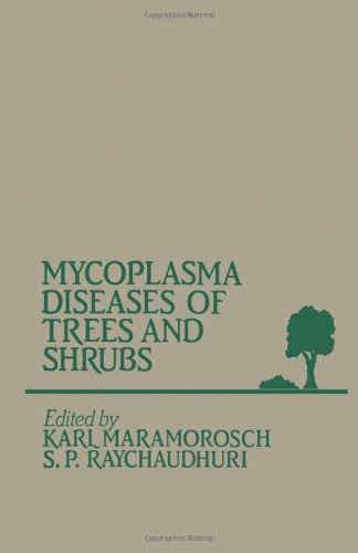 Stock image for Mycoplasma Diseases of Trees and Shrubs for sale by Alplaus Books