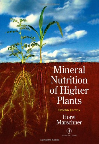 Stock image for Mineral Nutrition of Higher Plants for sale by Better World Books Ltd