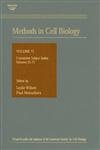 Cumulative Subject Index, Volumes 53 - 71 (Methods in Cell Biology, Volume 73)