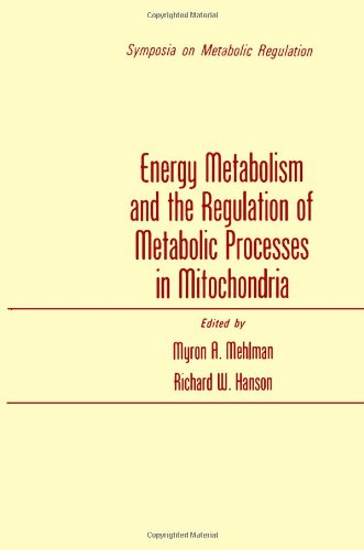 Imagen de archivo de Energy Metabolism and the Regulation of Metabolic Processes in Mitochondria a la venta por Crossroad Books