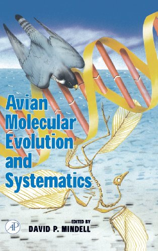 Beispielbild fr Avian Molecular Evolution and Systematics zum Verkauf von Wildside Books