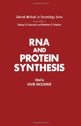 Stock image for RNA and Protein Synthesis (SELECTED METHODS IN ENZYMOLOGY SERIES) for sale by Paul Swanson