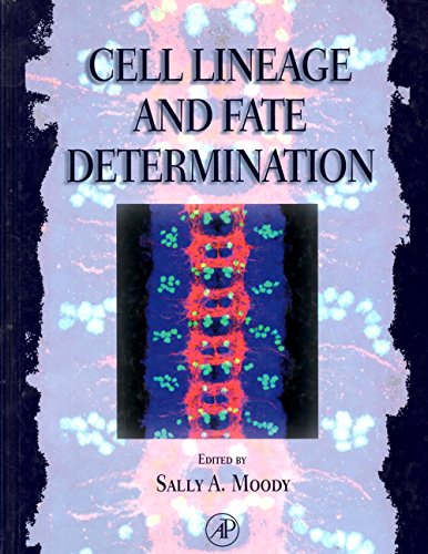 9780125052559: Cell Lineage and Fate Determination