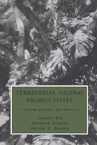 Stock image for Terrestrial Global Productivity for sale by Better World Books