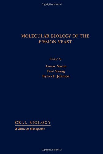 9780125140850: Molecular Biology of the Fission Yeast (Cell Biology)