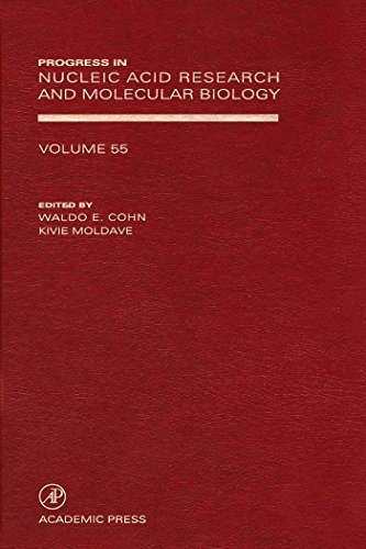 Stock image for Progress in Nucleic Acid Research and Molecular Biology, Volume 55 for sale by Zubal-Books, Since 1961