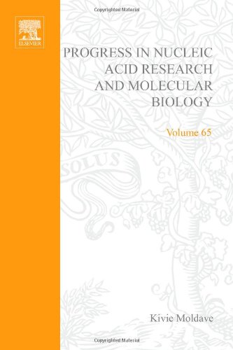 9780125400657: Progress in Nucleic Acid Research and Molecular Biology: Volume 65