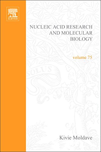 Stock image for Progress in Nucleic Acid Research and Molecular Biology, Volume 75 (Progress in Nucleic Acid Reasearch) for sale by Zubal-Books, Since 1961