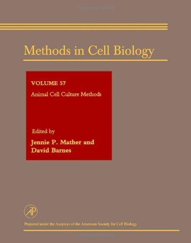 Stock image for Animal Cell Culture Methods (Methods in Cell Biology, Volume 57) for sale by The Book Exchange