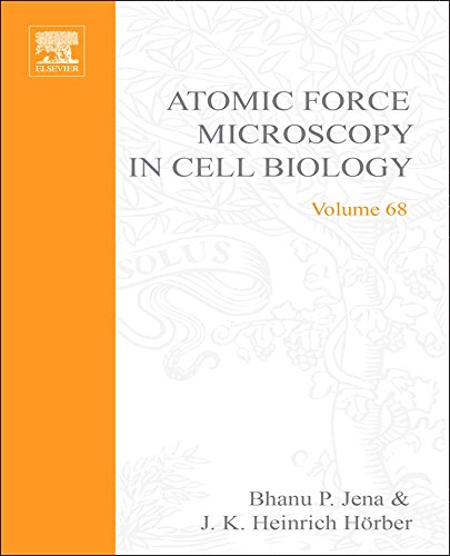 Stock image for Atomic Force Microscopy in Cell Biology: 68 (Methods in Cell Biology) for sale by Chiron Media