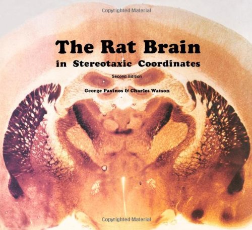 Imagen de archivo de The Rat Brain in Stereotaxic Coordinates a la venta por Bookworm Books
