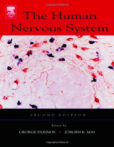 Stock image for The Human Nervous System for sale by BooksRun