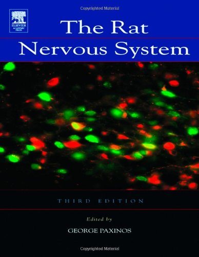 Imagen de archivo de The Rat Nervous System a la venta por ThriftBooks-Atlanta