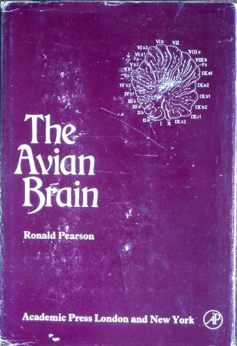 Stock image for The avian brain for sale by Bernhard Kiewel Rare Books