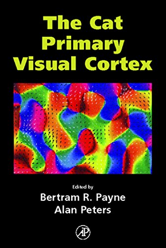 Beispielbild fr The Cat Primary Visual Cortex zum Verkauf von Revaluation Books