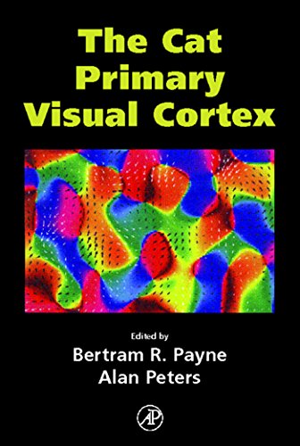 Imagen de archivo de The Cat Primary Visual Cortex a la venta por Revaluation Books