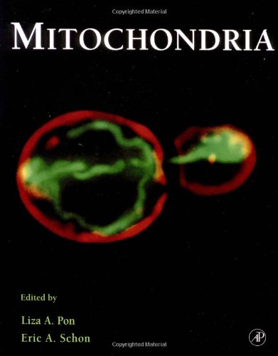 9780125612852: Mitochondria: Volume 65