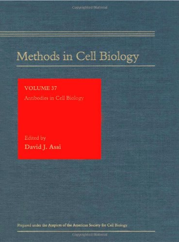 Imagen de archivo de Antibodies in Cell Biology, Volume 37 (Methods in Cell Biology) a la venta por GuthrieBooks