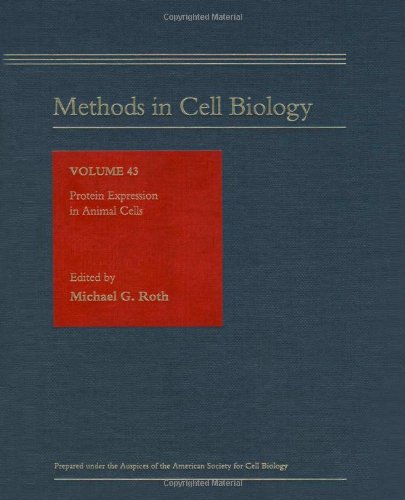 Beispielbild fr Protein Expression in Animal Cells, Volume 43 (Methods in Cell Biology) zum Verkauf von Zubal-Books, Since 1961