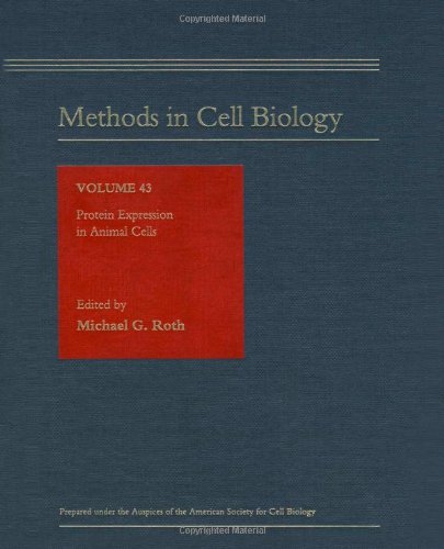 Imagen de archivo de Protein Expression in Animal Cells, Volume 43 (Methods in Cell Biology) a la venta por Zubal-Books, Since 1961