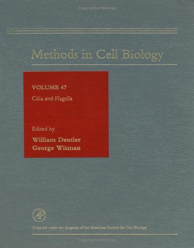 Stock image for Cilia and Flagella (Methods in Cell Biology ; Vol. 47) for sale by Katsumi-san Co.