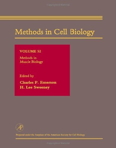 Beispielbild fr Methods in Cell Biology, Volume 52 : Methods in Muscle Biology zum Verkauf von The Book Exchange