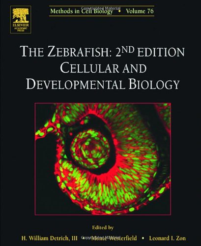 Imagen de archivo de The Zebrafish: Cellular And Developmental Biology a la venta por Ammareal