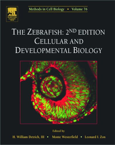 Stock image for The Zebrafish: Cellular And Developmental Biology for sale by Ammareal