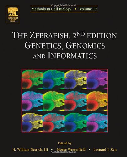 Stock image for The Zebrafish, 2nd. Edition: Cellular and Developmental Biology (Methods in Cell Biology, Volume 77) for sale by The Book Exchange